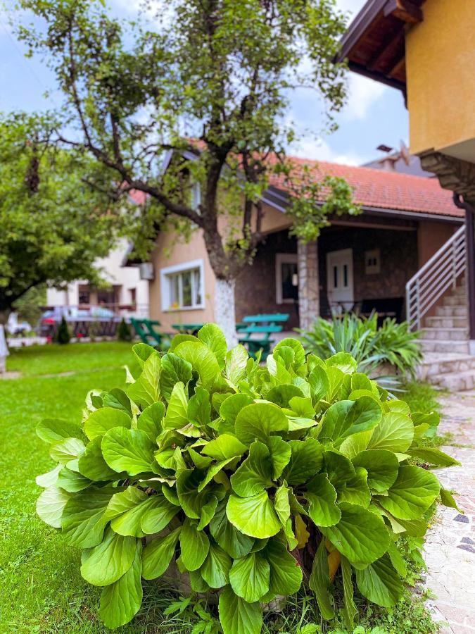 Adella Appartement Sarajevo Buitenkant foto